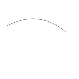 Australian Computer Society (ACS)